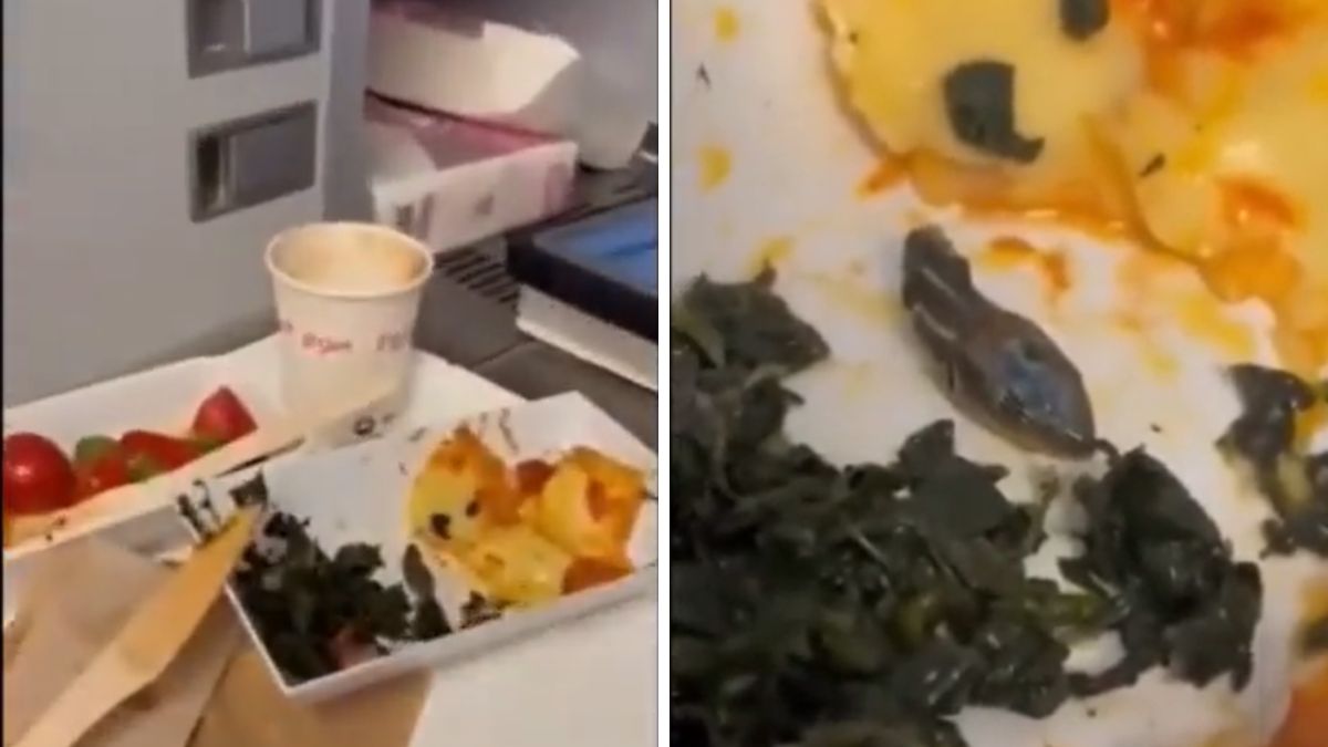 Flight Attendant Finds Snake Head Served In Airline Meal | Watch