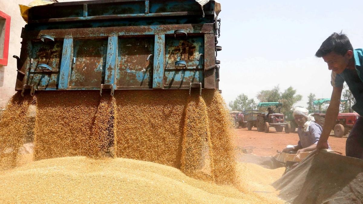 After Ban On Wheat, India Restricts Exports Of Flour, Other Related
