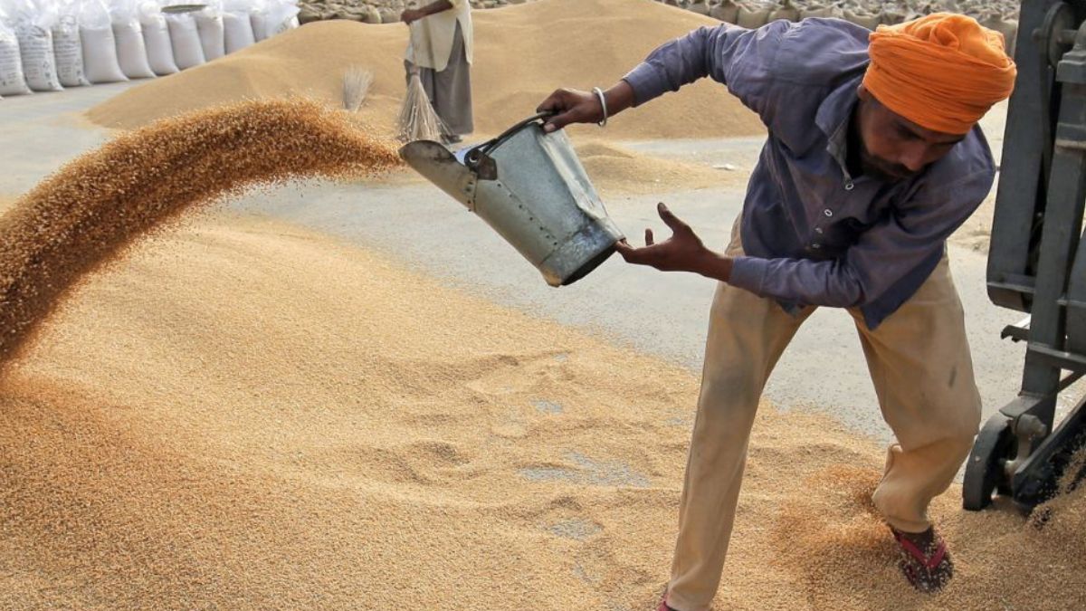 IMF Welcomes India's Decision To Relax Wheat Export Ban