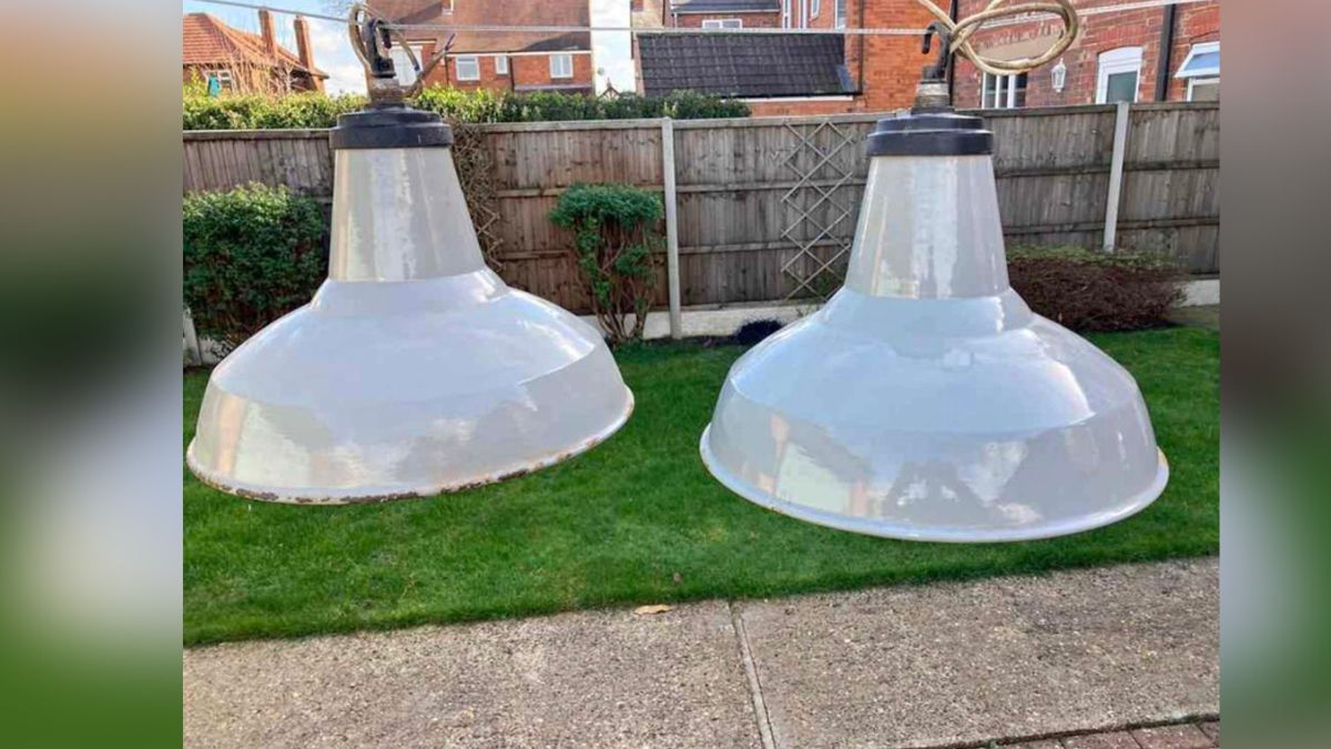 Optical Illusion: These Two Giant Bulbs Has Stumped Netizens' Minds; Figure Out Why