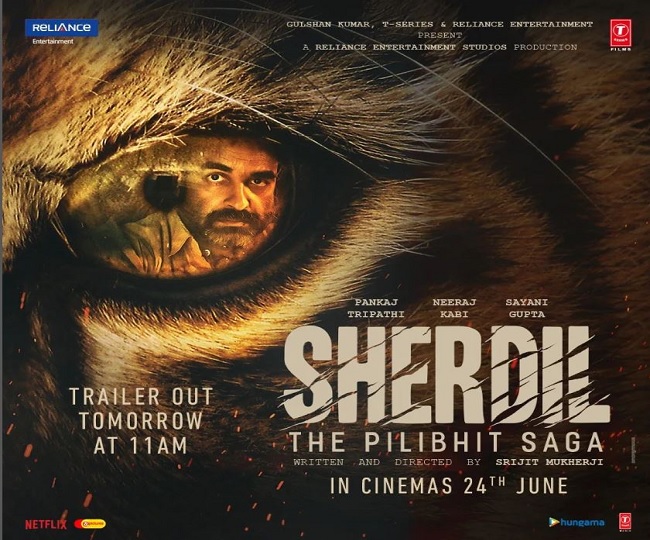 Sherdil The Pilibhit Saga Trailer: Pankaj Tripathi Is The Hero To Cheer For In This Satirical Film | Watch