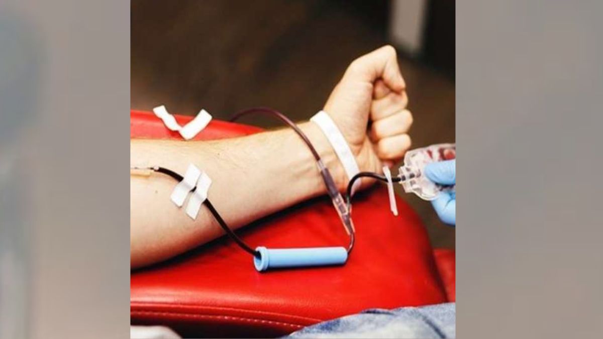 World Blood Donor Day 2022: Here's How Donating Blood Is Beneficial For Your Health