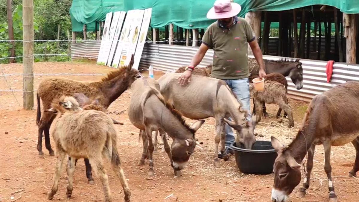 Here's Why A Mangaluru Man Quit His IT Job To Start A Donkey Milk Farm