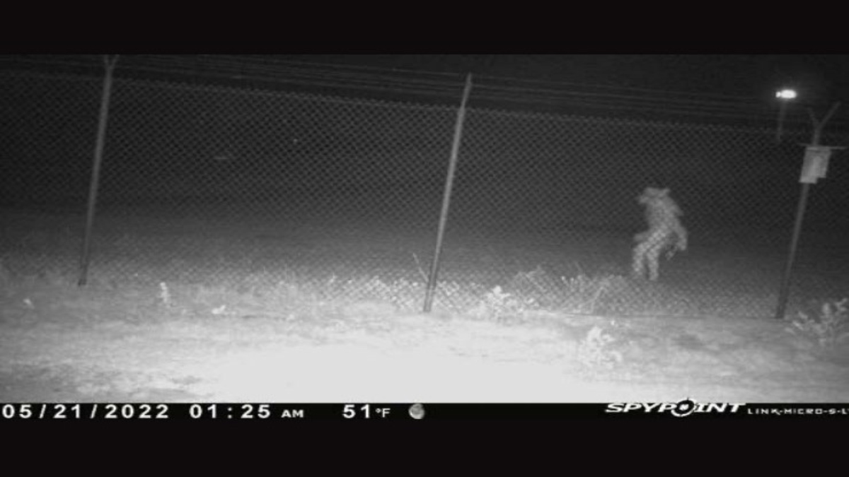 Picture Of Strange Creature Captured Outside Texas Zoo Leaves People Stunned | See Here