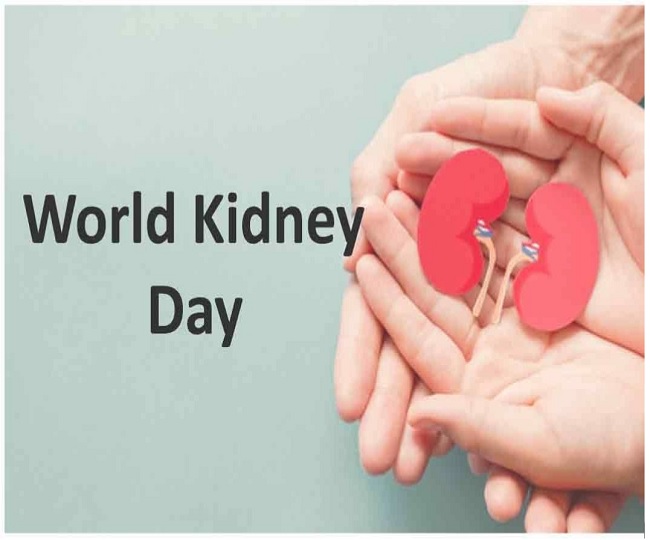 World Kidney Day 2022: 8 food items to add in your diet to avoid kidney-related problems