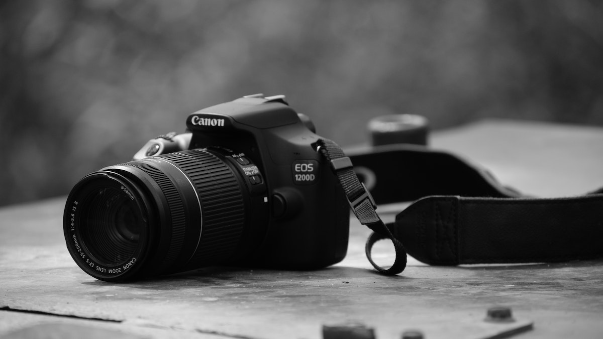 top canon cameras for photographers