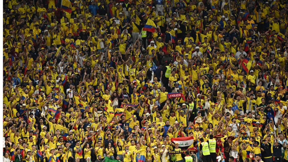 Qatar World Cup 2022: FIFA Investigates Ecuador Fans' Homophobic Chants