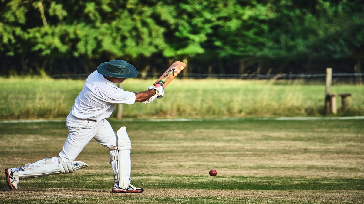 What's actually the best material for baseball and cricket bats? - ABC News