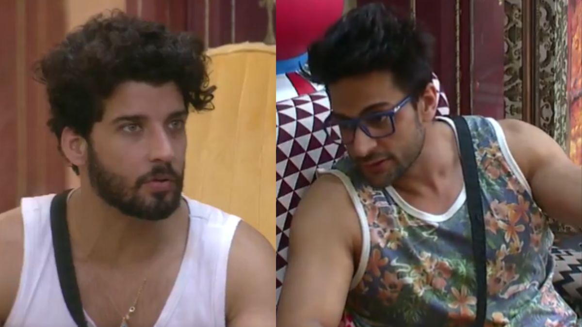 Shalin Bhanot To Gautam Singh Vig: Bigg Boss 16 Contestant's