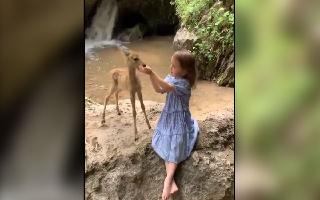 'Like A Disney Fairy Tale': Little Girl Recreates Disney Moment With Deer; Internet Calls It Adorable