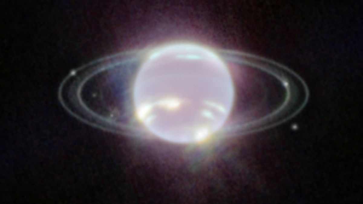 NASA's James Webb Telescope Captures Clearest Image Of Neptune Rings In 30 Years | See Here