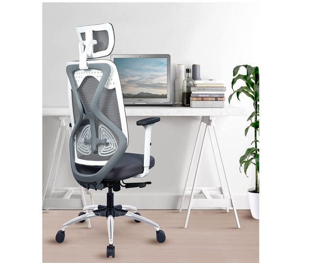 Best Green Soul Chairs For Office In India