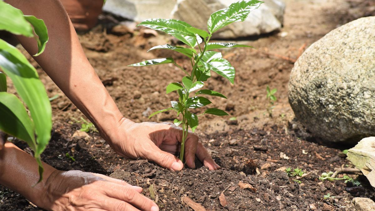 earth-day-2023-eco-friendly-ways-to-celebrate-this-special-occasion-with-your-loved-ones