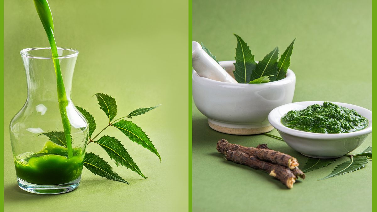 Neem For Haircare 4 Ways To Use The Natural Remedy And Keep Dandruff Away