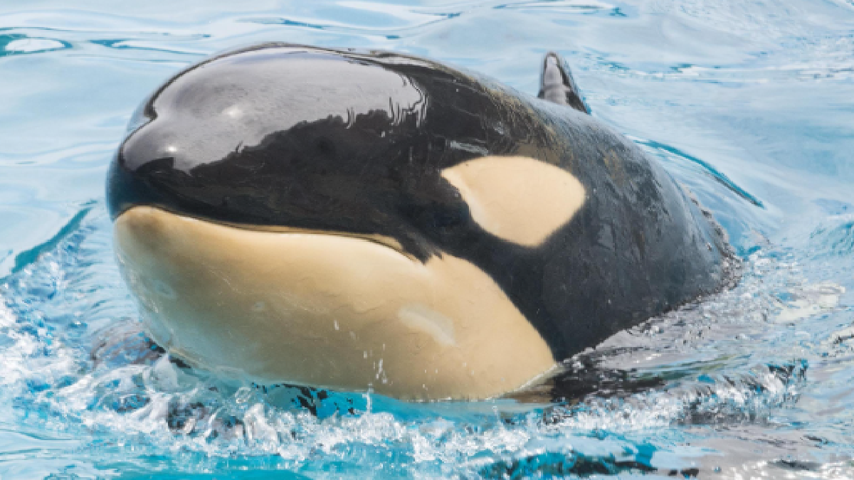 Source: Representative Image