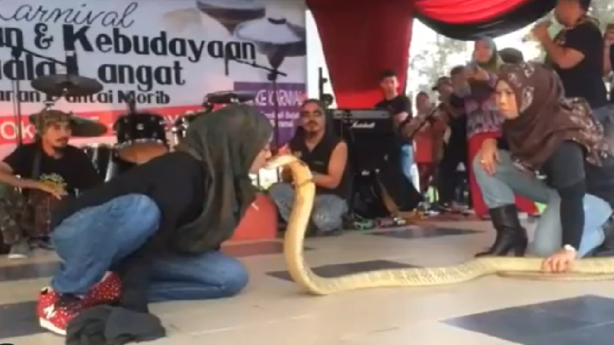 video-of-woman-kissing-cobra-leaves-netizens-scared-watch-here