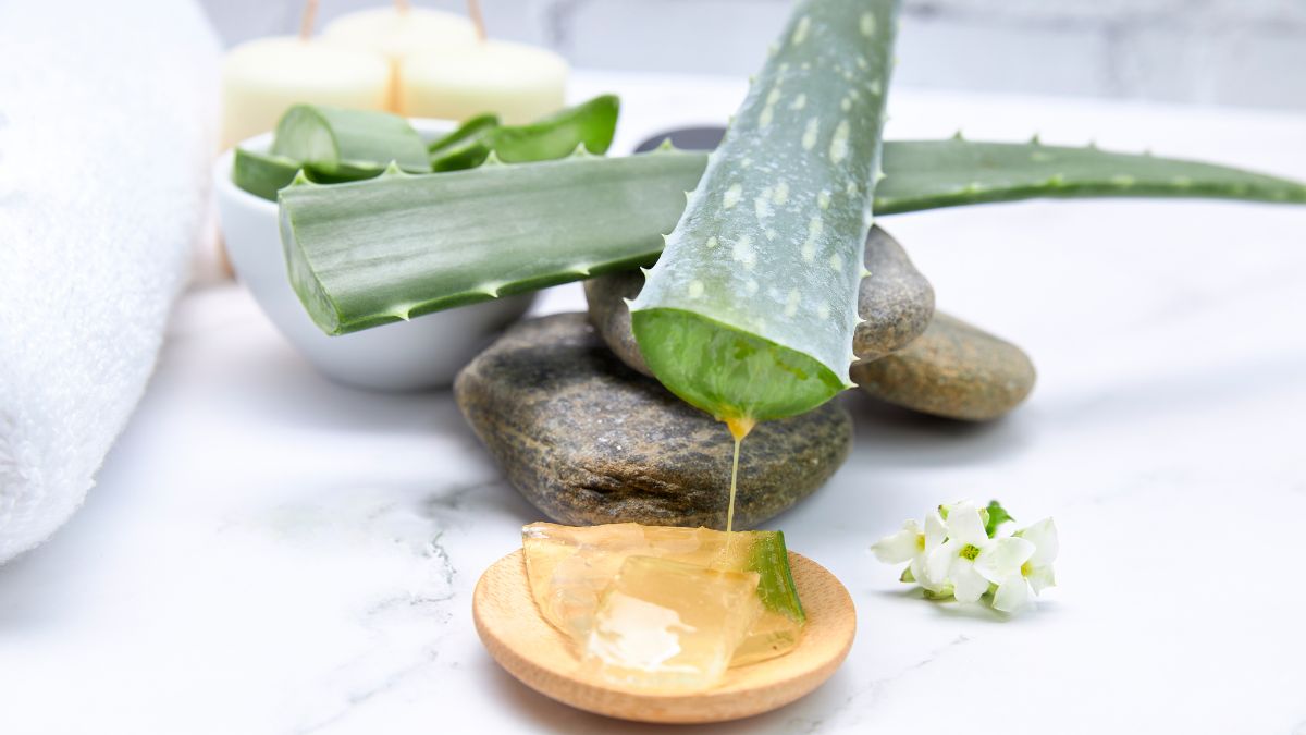 5 Impressive Benefits Of Applying Aloe Vera Gel Overnight For Skin 1842