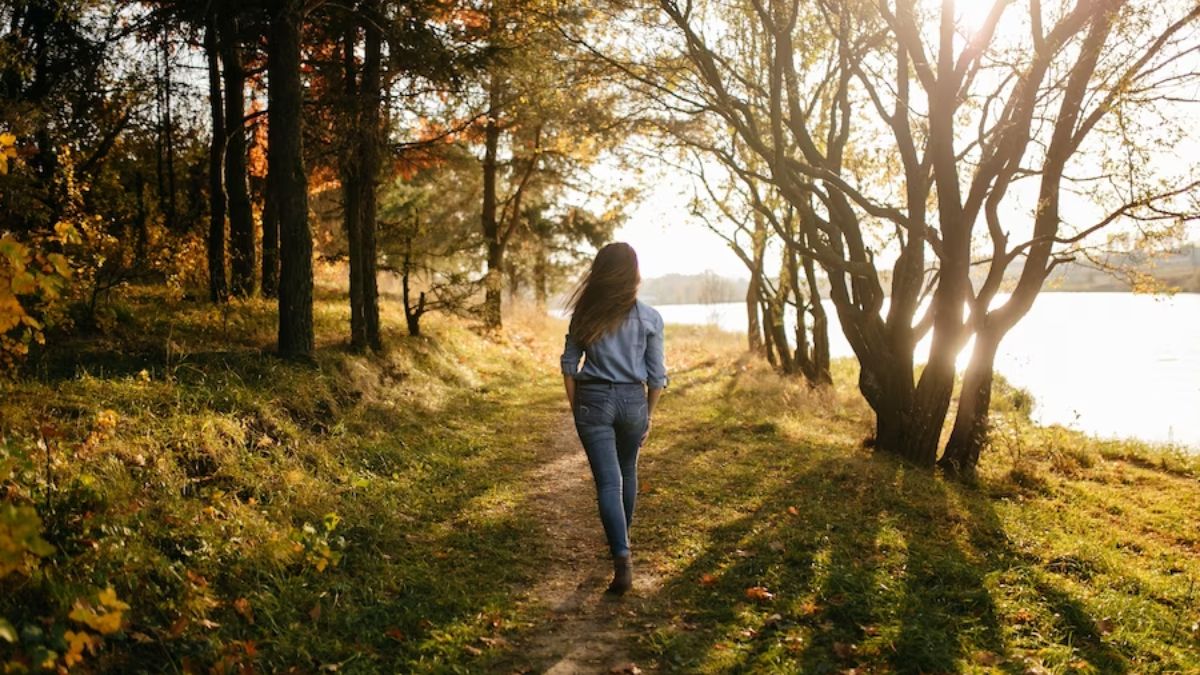 Benefits Of Morning Walk: 6 Surprising Benefits Of Taking A Morning Stroll