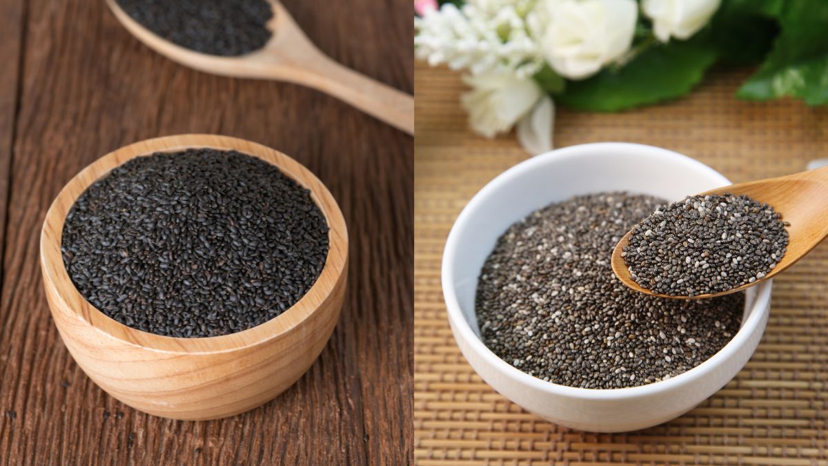 What Is The Difference Between Chia And Basil Seeds Know Health