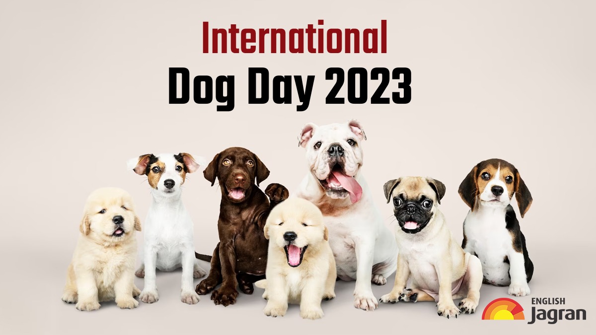 International Dog Day 2023 History, Significance And Other Important