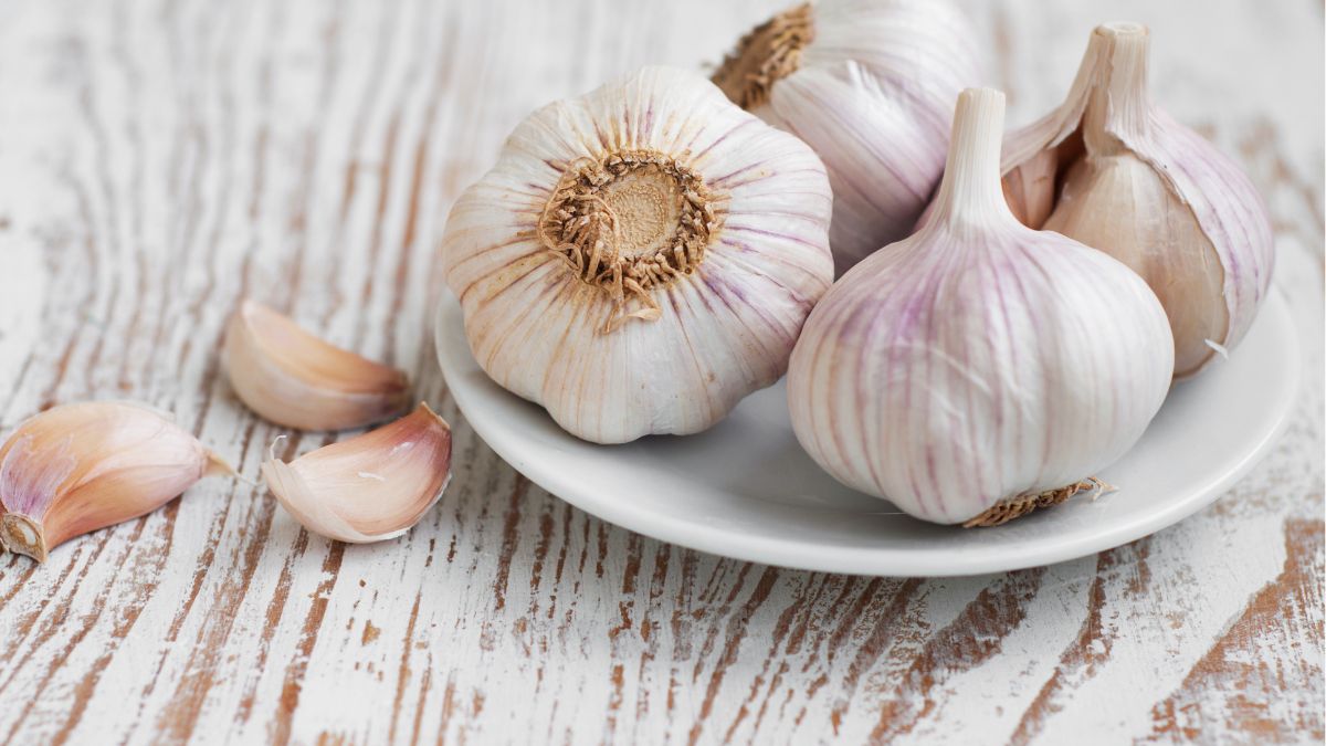 5 Top Health Benefits Of Garlic Good Digestion To Better Immunity
