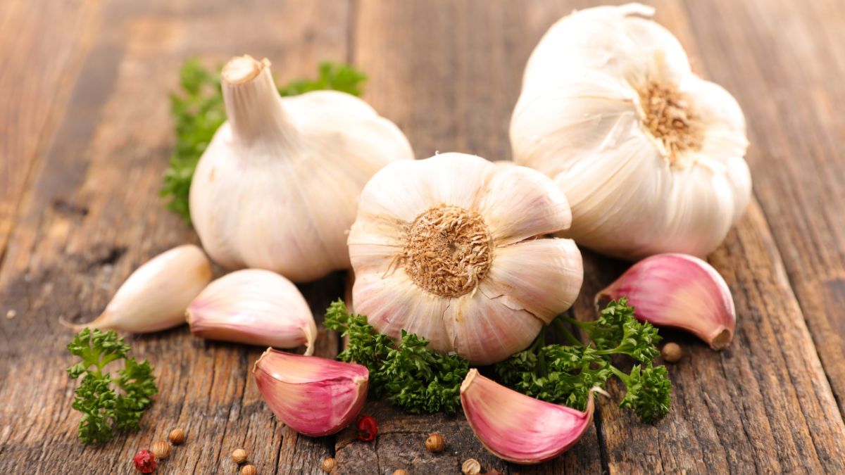5-top-health-benefits-of-garlic-good-digestion-to-better-immunity