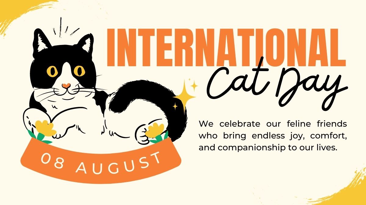 International Cat Day1691464017899 