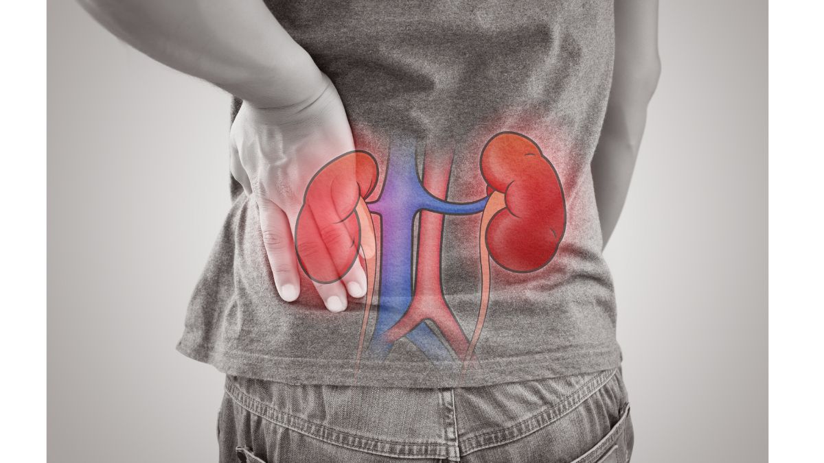 10 Unhealthy Habits That Can Seriously Damage Your Kidneys Know From