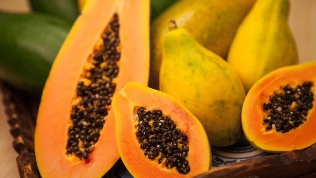 Top 5 Health Benefits Of Papaya Seeds To Add Into Your Diet