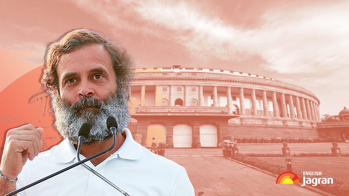 Congress Seeks Restoration Of Rahul Gandhi's MP Status 'At Same Pace As ...