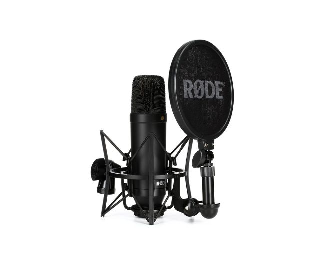 Best Condenser Microphones In India 2023: Get Great Clarity For Singing ...