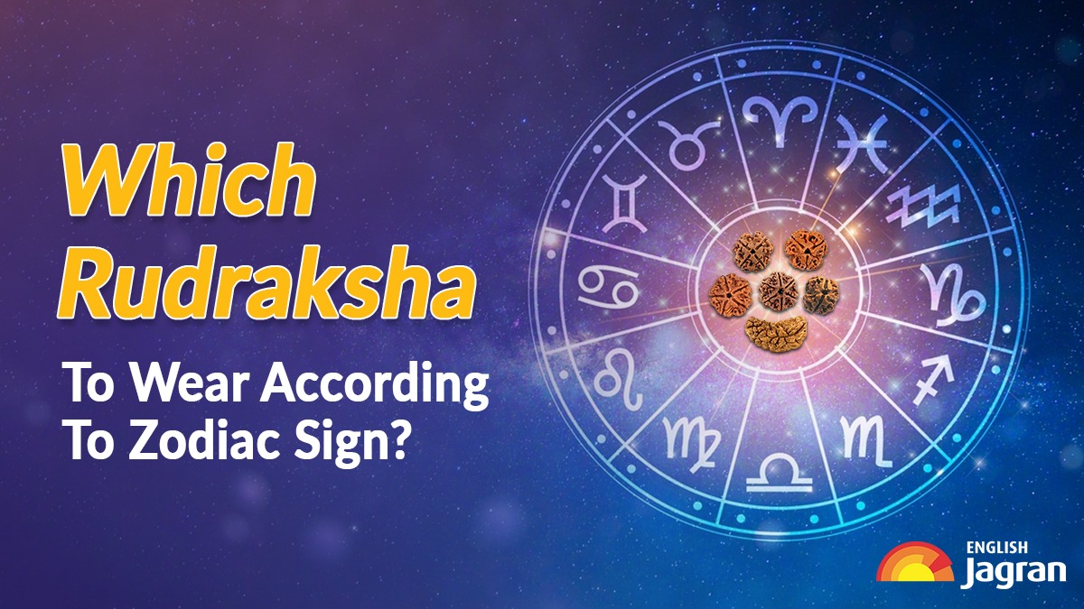 which-rudraksha-should-you-wear-for-success-find-out-based-on-your-zodiac-sign
