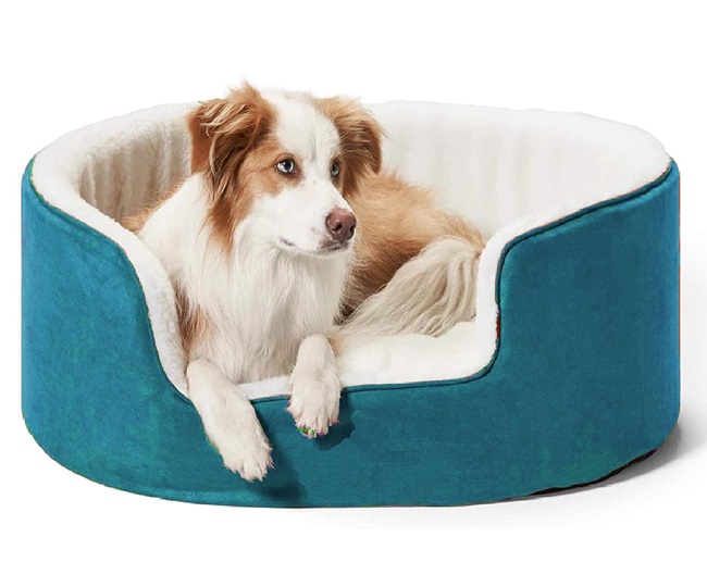 Best Beds For Dogs For 2024 Treat Your Furry Friends With A Feeling Of Comfort And Coziness