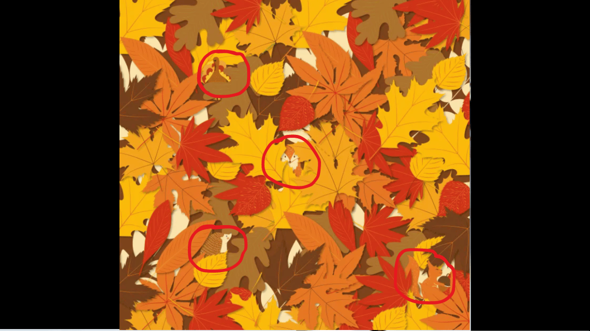 Spot the animals in under 3 seconds. (Source: The Sun)