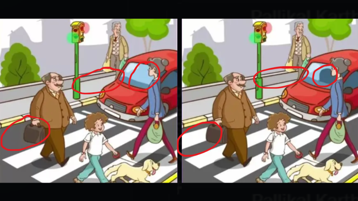 Spot 3 differences in the image. (Source: fresherslive)