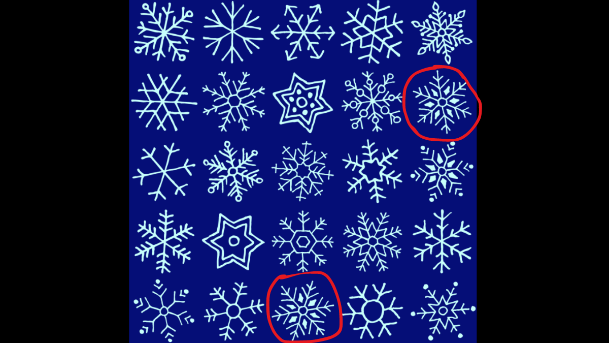 Spot the same snowflakes. (Source: BETWAY)