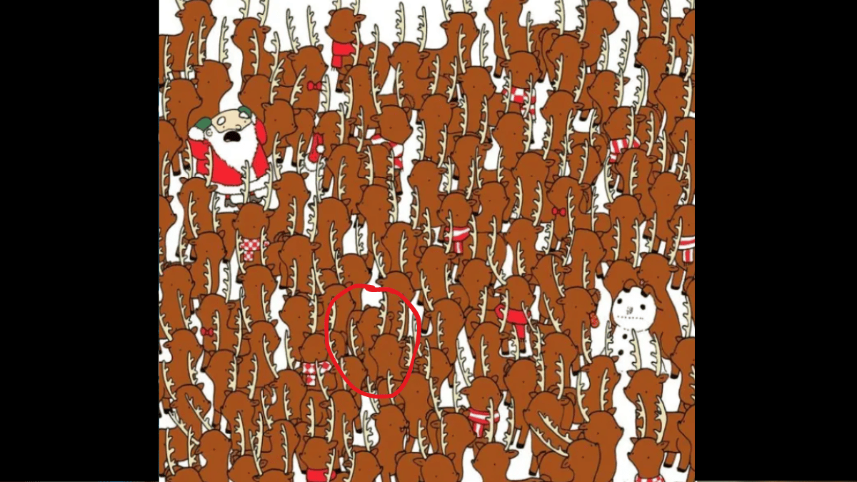 Spot the bear in under 7 seconds. (Source: thedudolf)