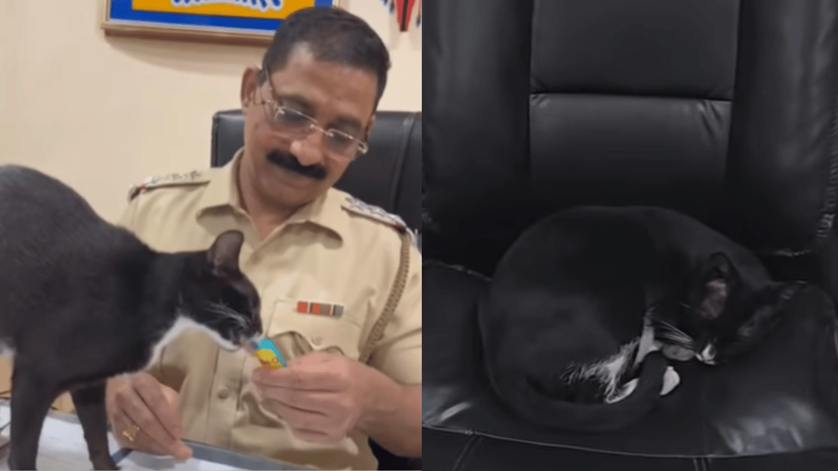 mumbai-police-has-a-furry-companion-and-internet-cannot-keep-calm-senior-police-inspector-cat-goes-viral-watch