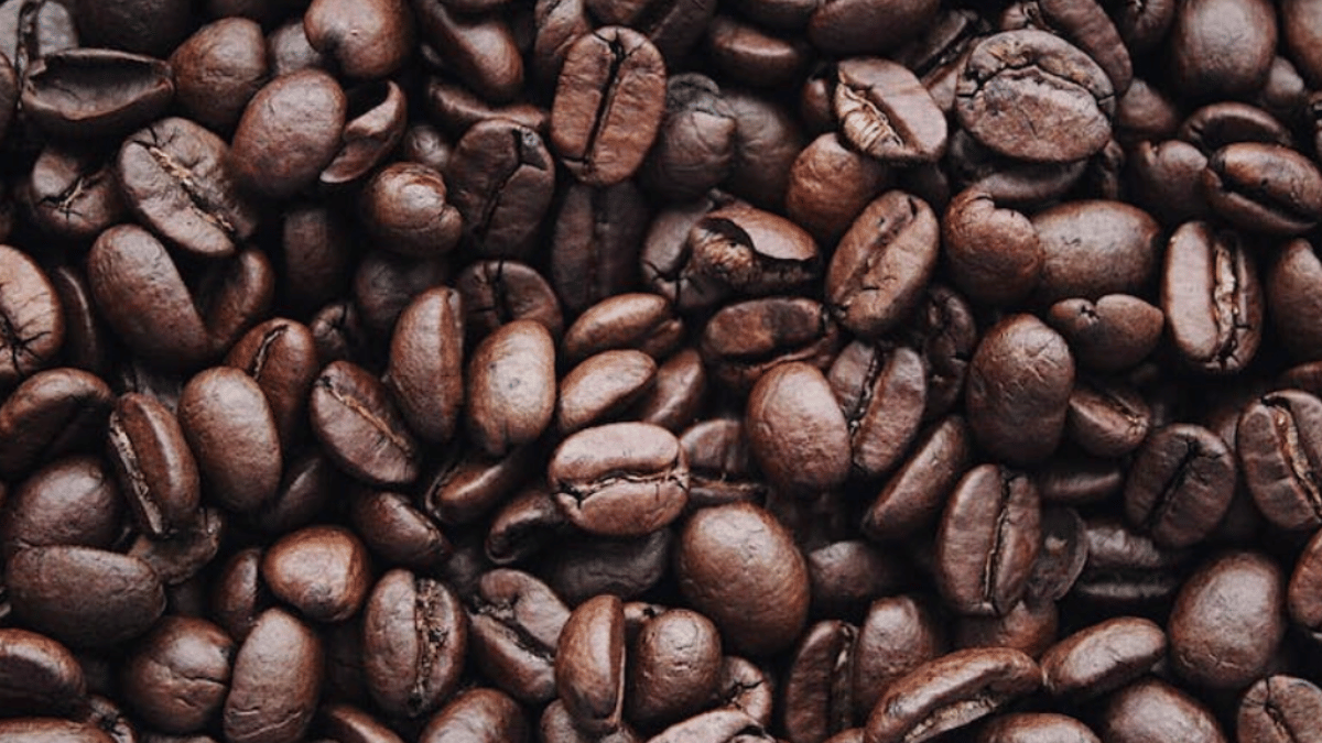 top-10-most-expensive-coffee-in-the-world-black-ivory-to-saint-helena