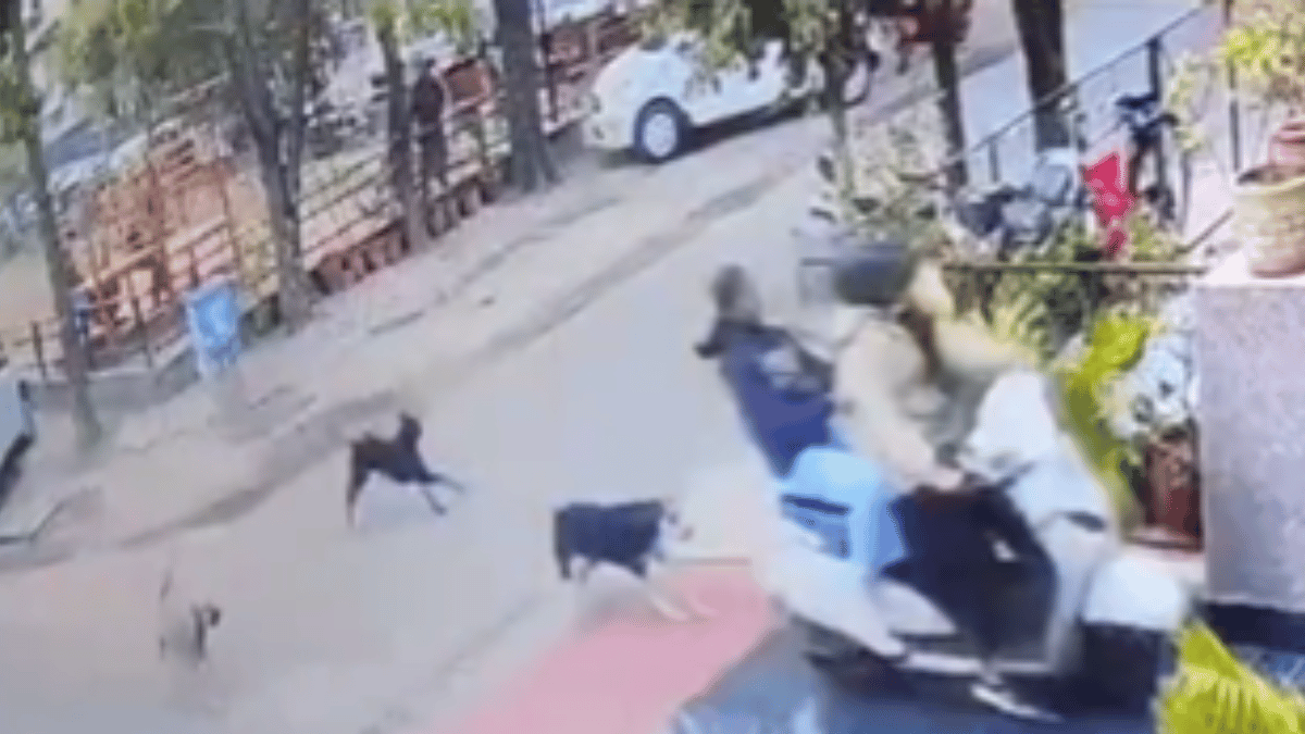 shocking-video-viral-women-riding-scooty-crash-into-house-in-attempt-to-escape-street-dogs-watch