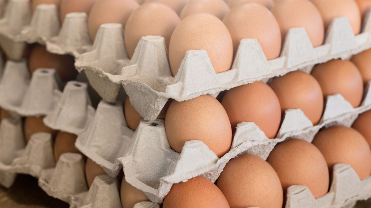Egg Prices In Kolkata Soar; Know Why Retail Rates Are Witnessing Sudden
