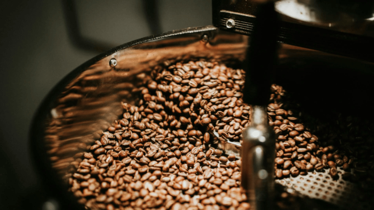 Top 10 Most Expensive Coffee In The World | Black Ivory To Saint Helena