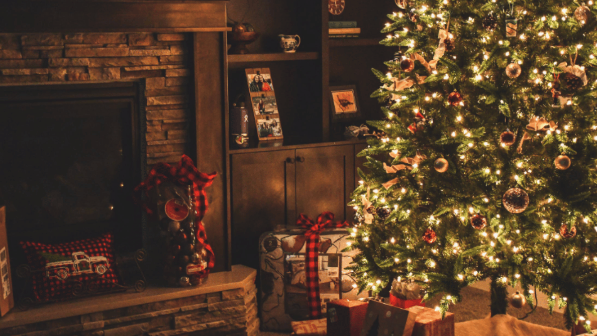 Representative Image (Source: Pexels)