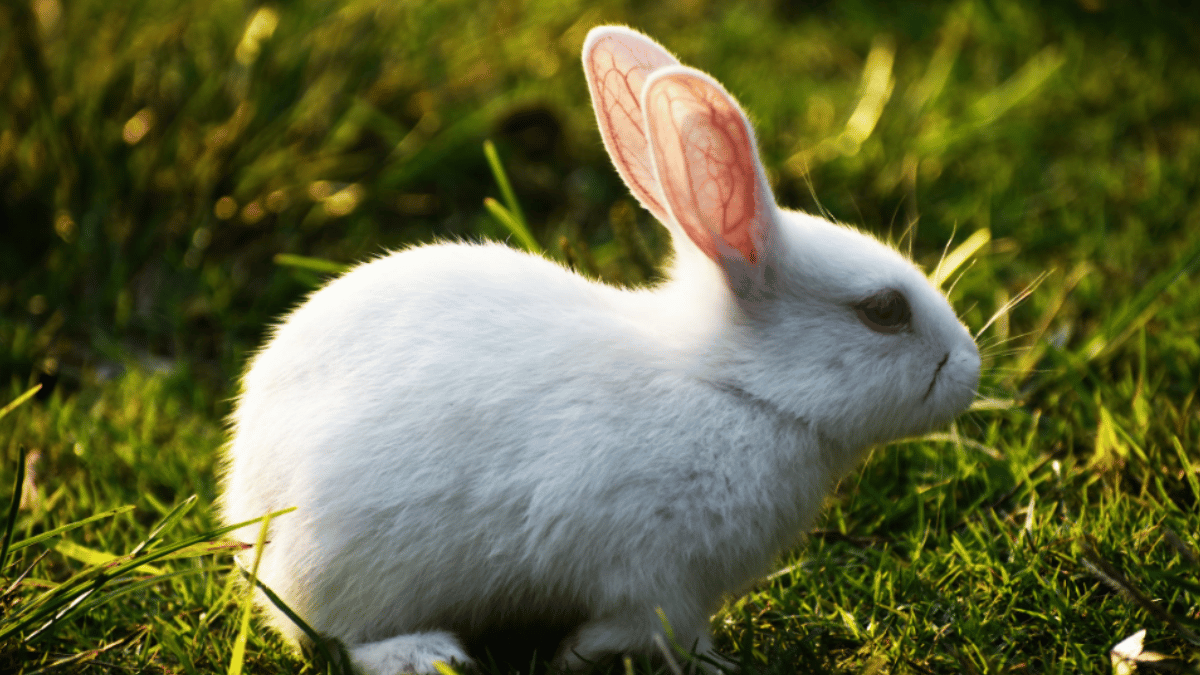 Representative Image (Source: Pexels)