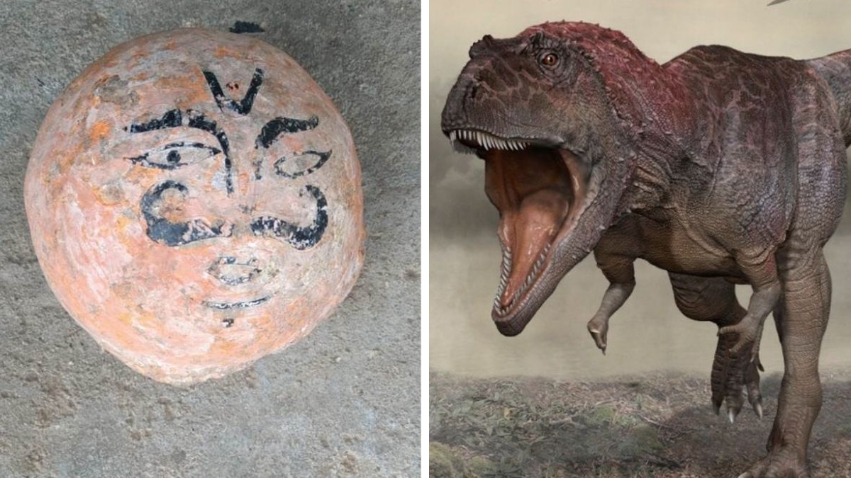 madhya-pradesh-sacred-stones-worshipped-for-generations-by-padalya-villagers-in-dhar-turn-out-to-be-dinosaur-eggs