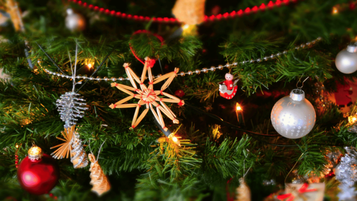 Representative Image (Source: Pexels)