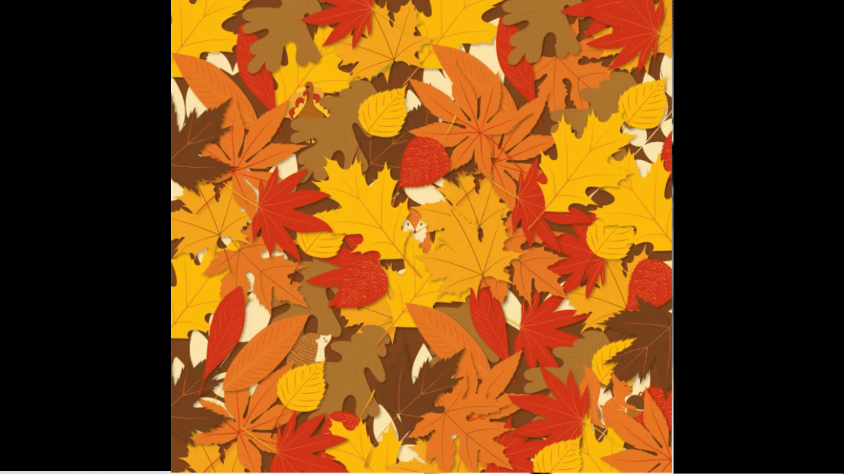 Spot the animals in under 3 seconds. (Source: The Sun)
