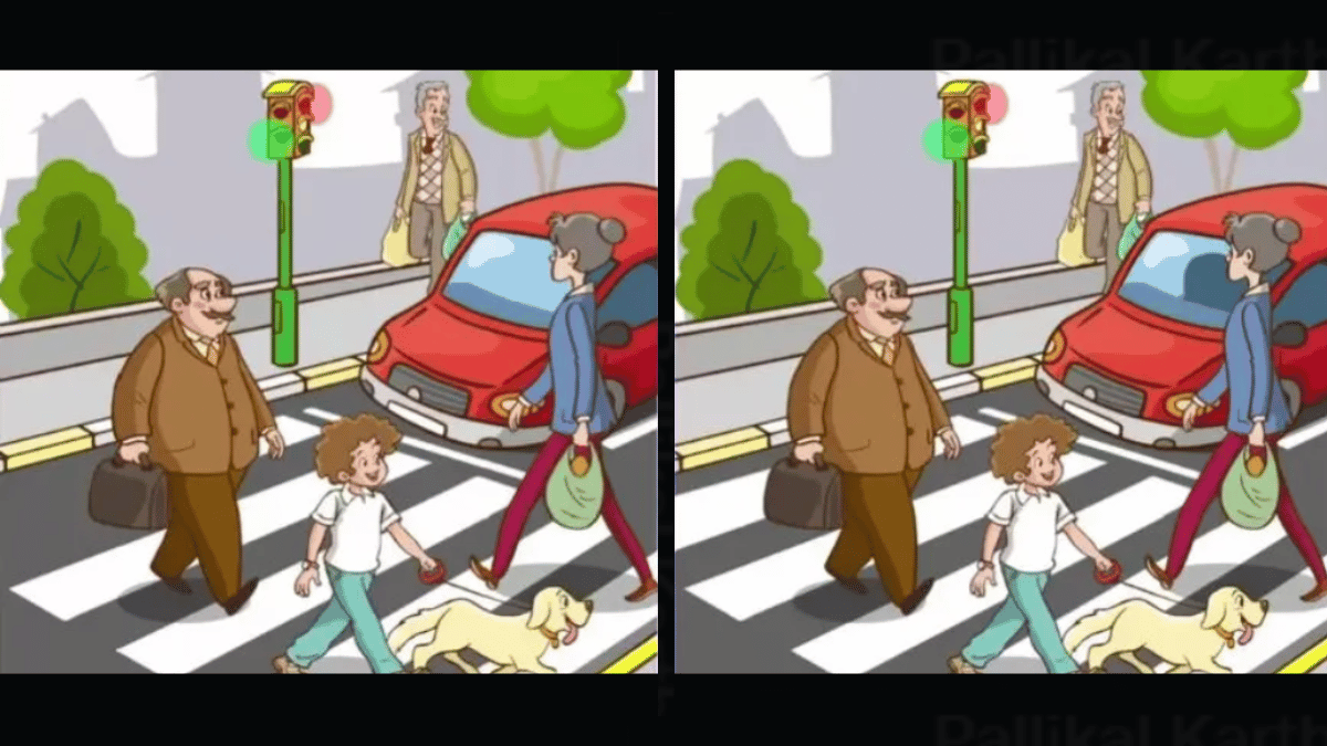 Spot 3 differences in the image. (Source: fresherslive)