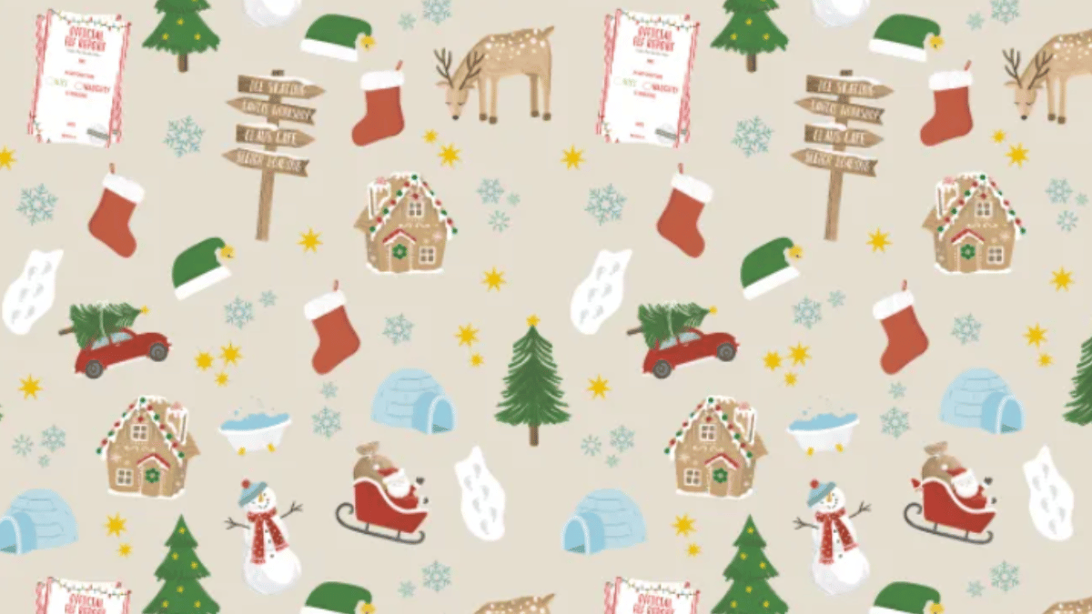 Spot the elf in under 5 seconds! (Source: The Sun)