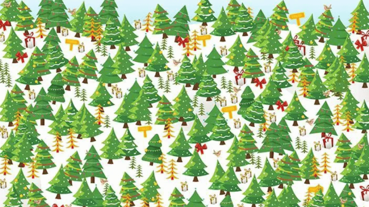 you-have-a-sharp-eyesight-if-you-can-spot-the-christmas-tree-with-star-in-under-7-seconds-optical-illusion